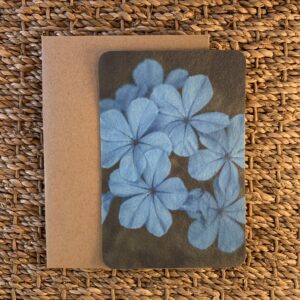 Photographie fleur bleu